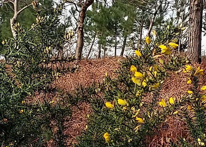 Dom wakacyjny La Thebaide Sauna Jardin